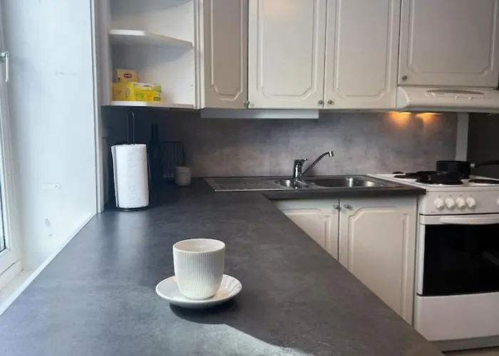 Nyoppusset Og Sentral Apartament *